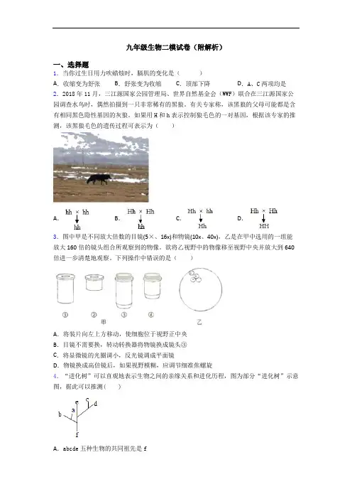 九年级生物二模试卷(附解析)