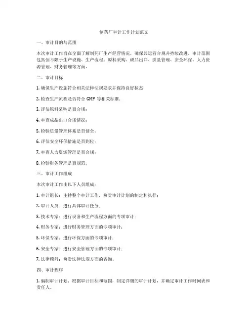 制药厂审计工作计划范文