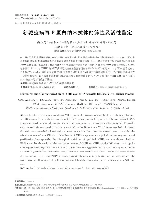 新城疫病毒F蛋白纳米抗体的筛选及活性鉴定
