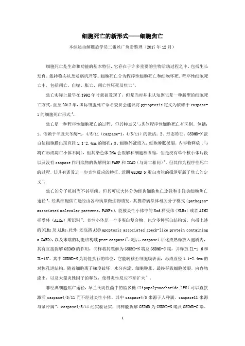 细胞死亡的新形式——细胞焦亡