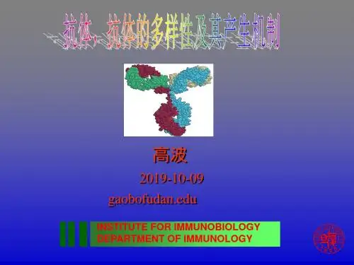 分子免疫学抗体,抗体多样性及其产生机制 gaobo 共105页