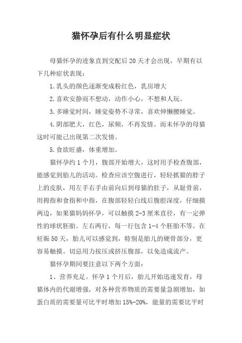 猫怀孕后有什么明显症状