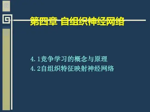 自组织神经网络概述(PPT 70页)
