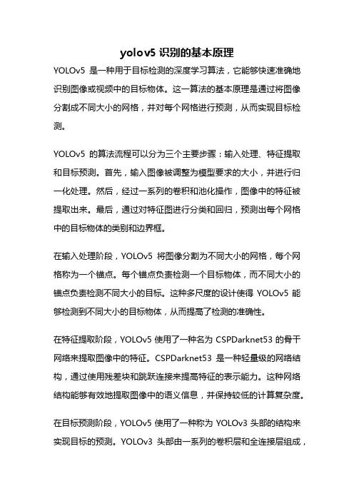 yolov5识别的基本原理