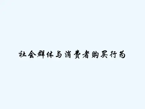 社会群体与消费者购买行为 PPT