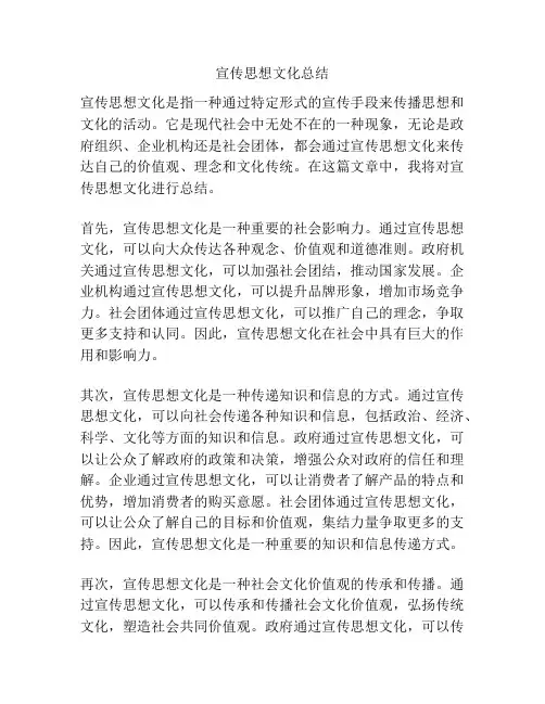 宣传思想文化总结