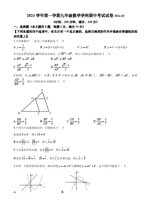 上海市普陀区2024-2025学年九年级上学期数学期中考试试卷(含答案)