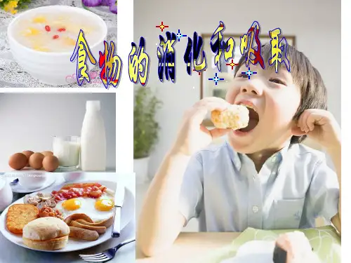 食物的消化与吸收(PPT课件(初中科学)24张)