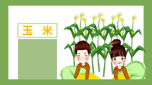 一年级美术《手工做玉米》创意课件