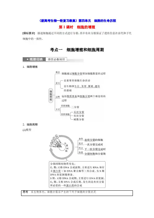 细胞的增殖(新高考生物一轮复习教案)