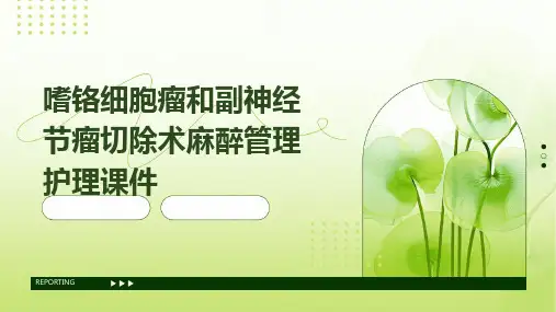 嗜铬细胞瘤和副神经节瘤切除术麻醉管理护理课件