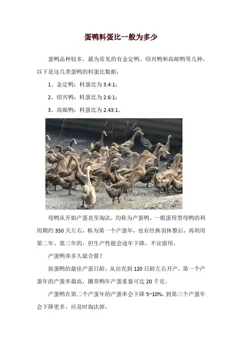蛋鸭料蛋比一般为多少