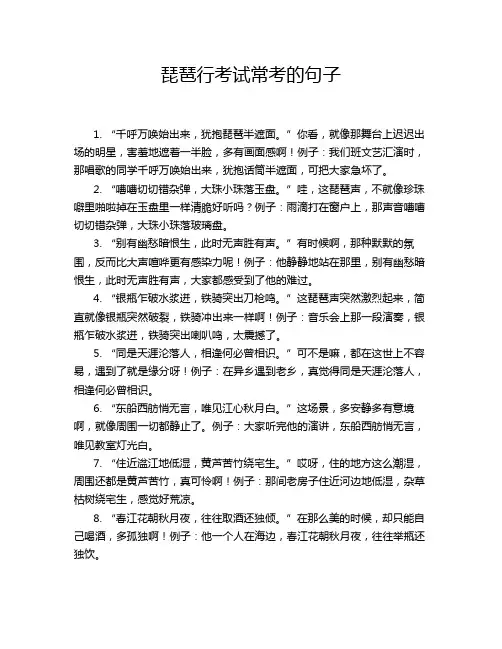 琵琶行考试常考的句子