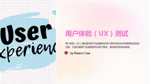 用户体验(UX)测试