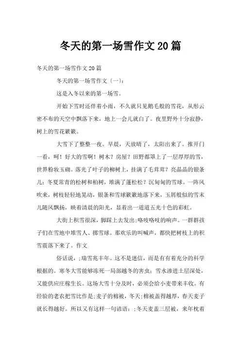冬天的第一场雪作文20篇