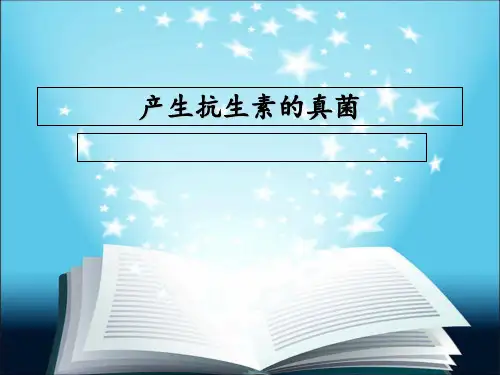 产生抗生素的真菌