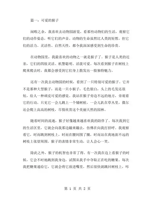 作文可爱的猴子范文