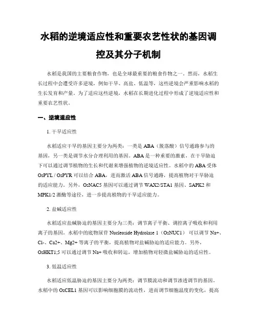 水稻的逆境适应性和重要农艺性状的基因调控及其分子机制