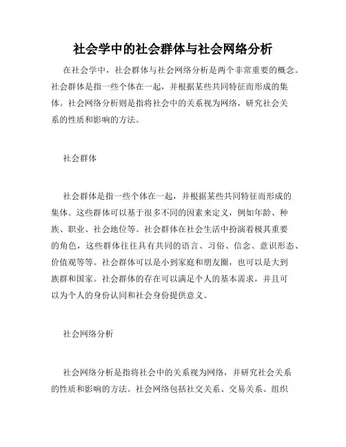 社会学中的社会群体与社会网络分析