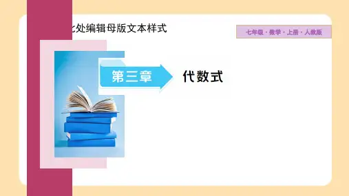 代数式第3课时反比例关系课件2024—2025学年人教版数学七年级上册