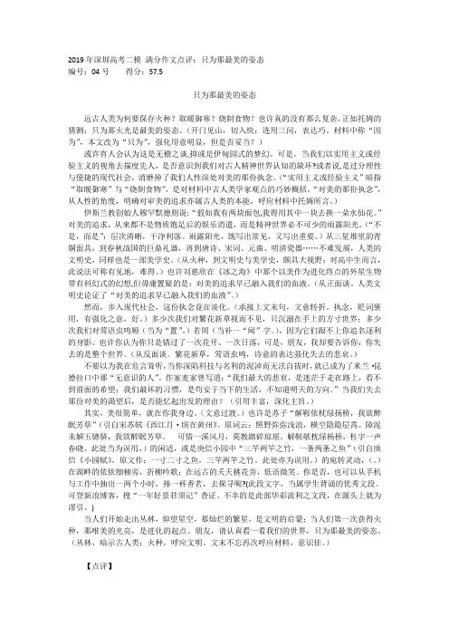 2019年深圳高考二模 满分作文点评：只为那最美的姿态