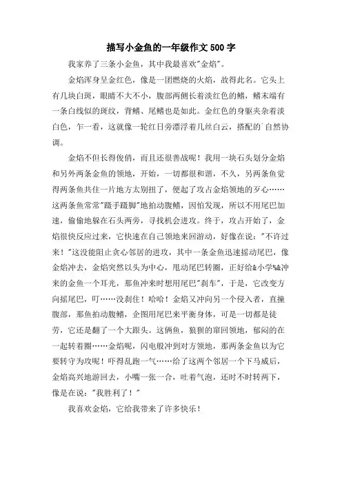 描写小金鱼的一年级作文500字