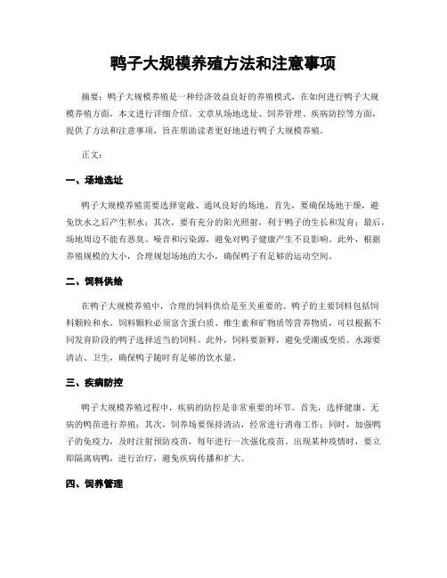 鸭子大规模养殖方法和注意事项