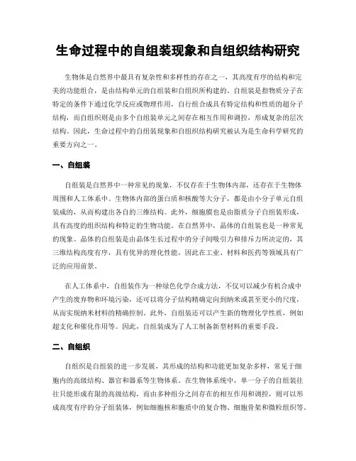 生命过程中的自组装现象和自组织结构研究