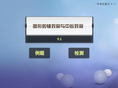 2019届中考数学专题复习9