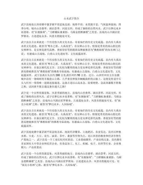 山水武宁简介
