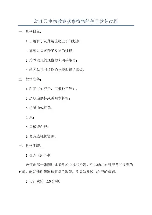 幼儿园生物教案观察植物的种子发芽过程