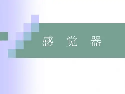 感觉器系统解剖学
