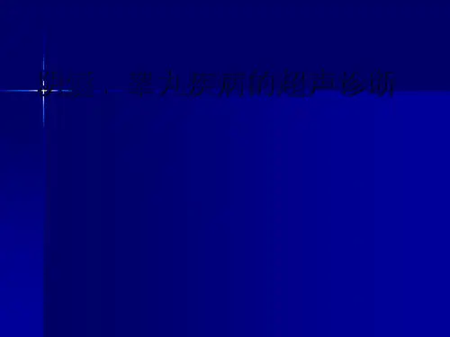 睾丸超声ppt课件