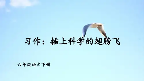 部编人教版六年级语文下册习作《插上科学的翅膀飞》优质课件(共36张PPT)