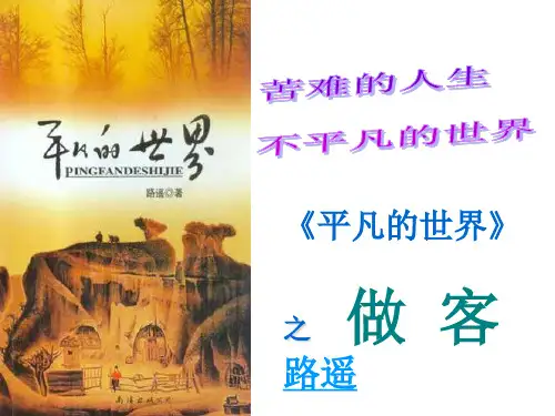 《平凡的世界》之-做客