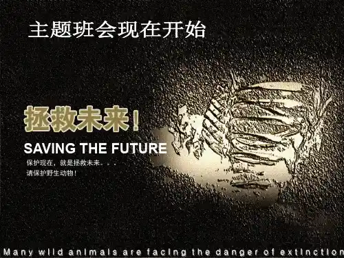 2020年中学生主题班会《保护野生动物》ppt课件 (精品)