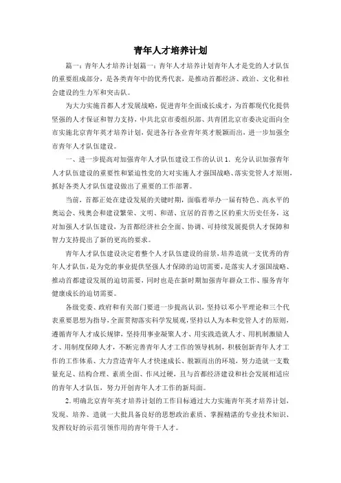 工作计划-青年人才培养计划 精品