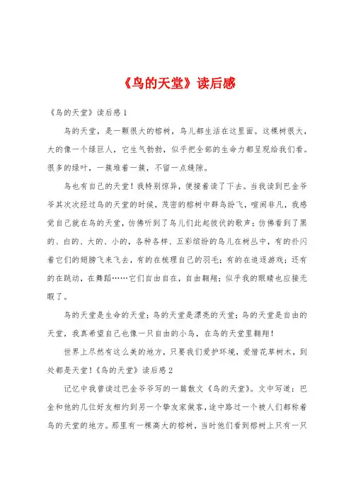 《鸟的天堂》读后感