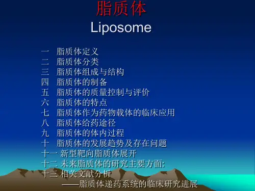 脂质体