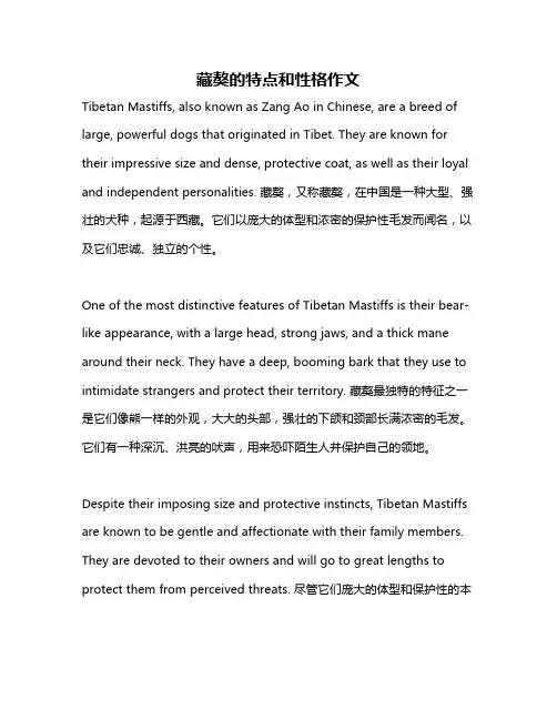 藏獒的特点和性格作文