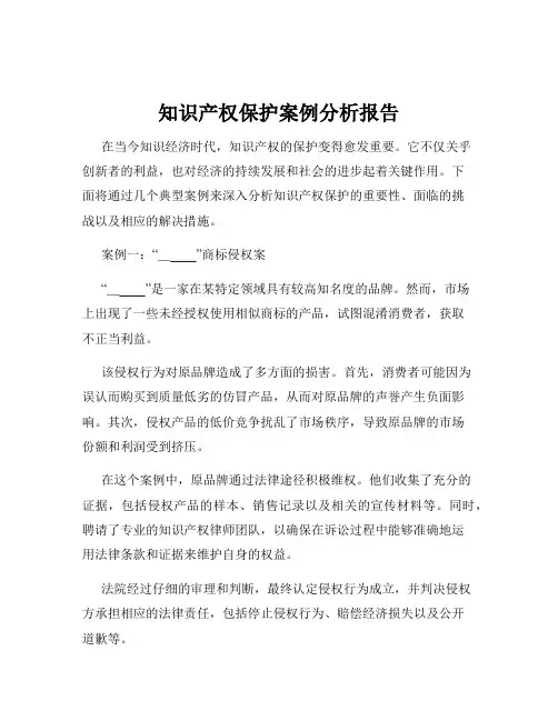 知识产权保护案例分析报告