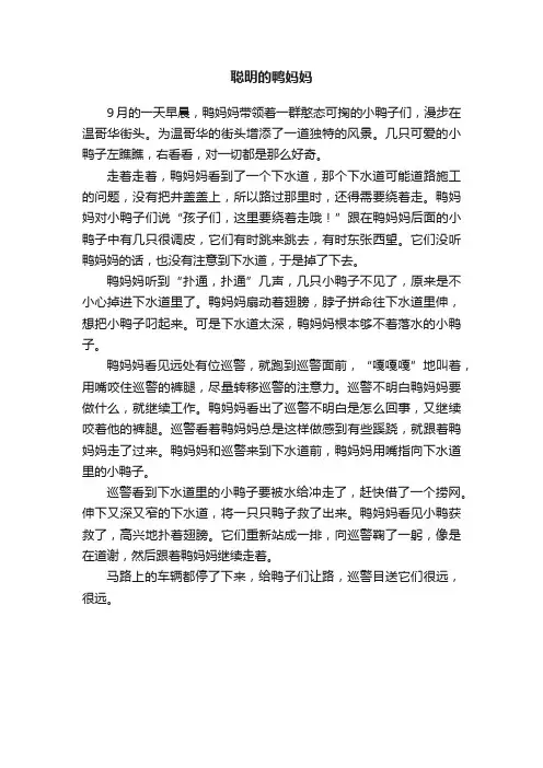 聪明的鸭妈妈