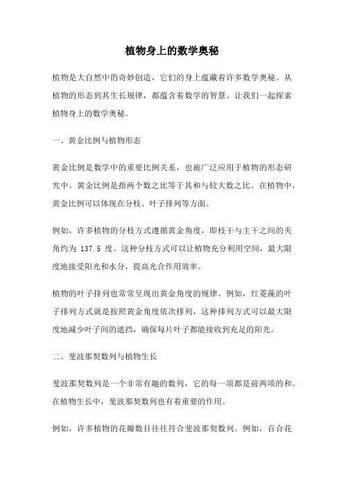 植物身上的数学奥秘