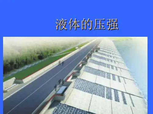 2《液体的压强》ppt课件