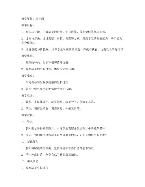 小学综合实践教案蔬菜