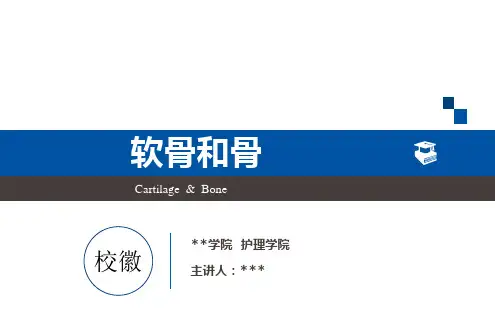 《组织学与胚胎学》第三章 软骨和骨