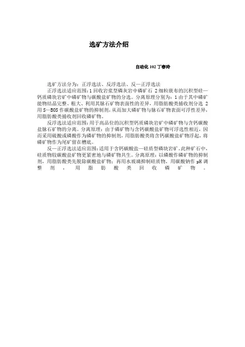 选矿方法介绍