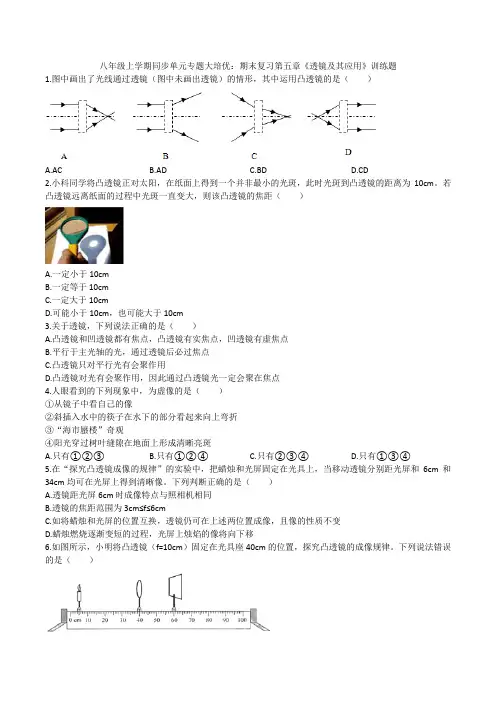 2020人教版八年级上学期同步单元专题大培优：期末复习第五章《透镜及其应用》训练题