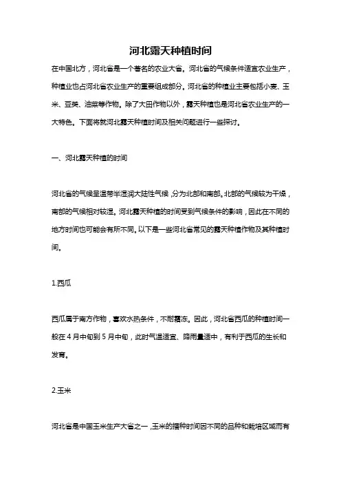 河北露天种植时间
