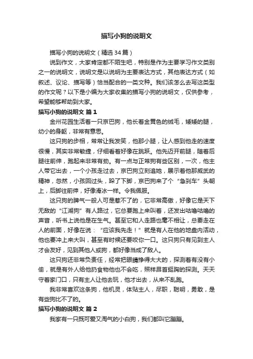 描写小狗的说明文（精选34篇）
